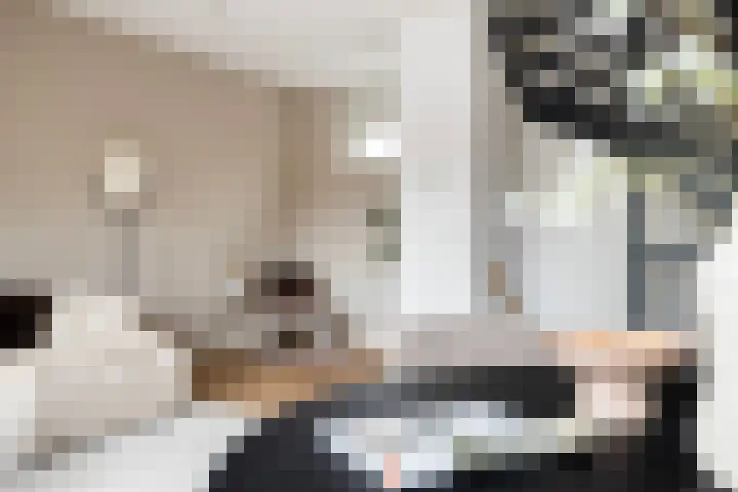 Rijnhuizenlaan 19 Utrecht thumbnail 22