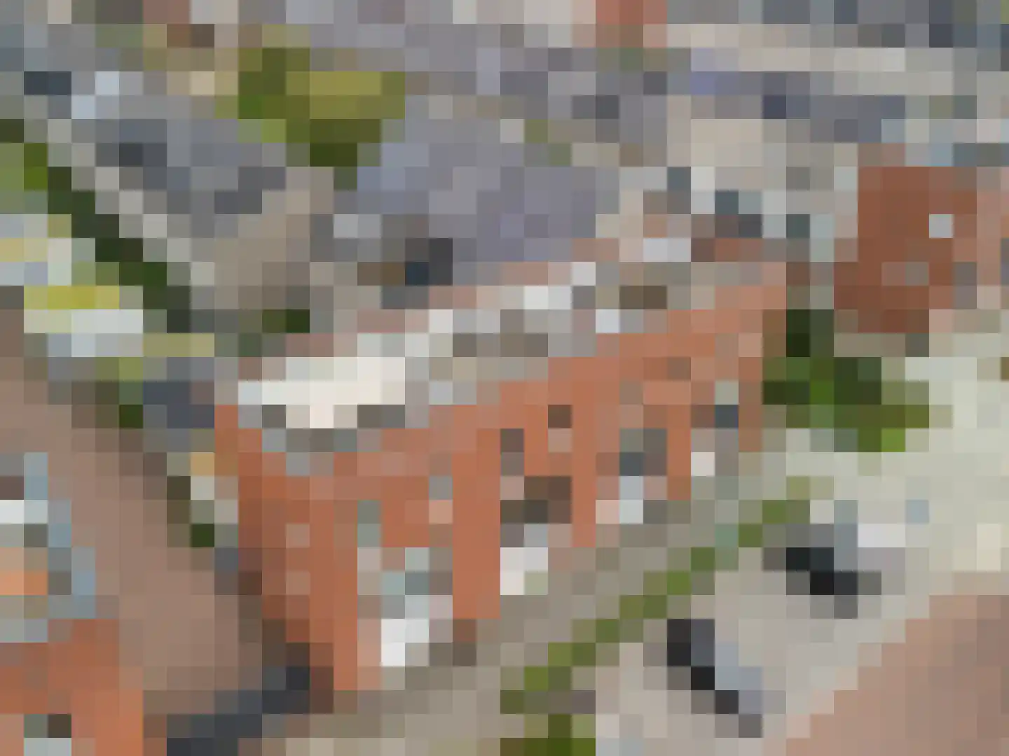 Rijnhuizenlaan 19 Utrecht thumbnail 37
