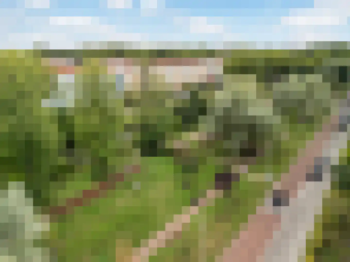 Rijnhuizenlaan 19 Utrecht thumbnail 41