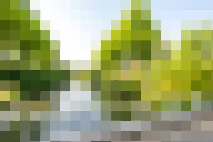 Rijnhuizenlaan 27 Utrecht thumbnail 36