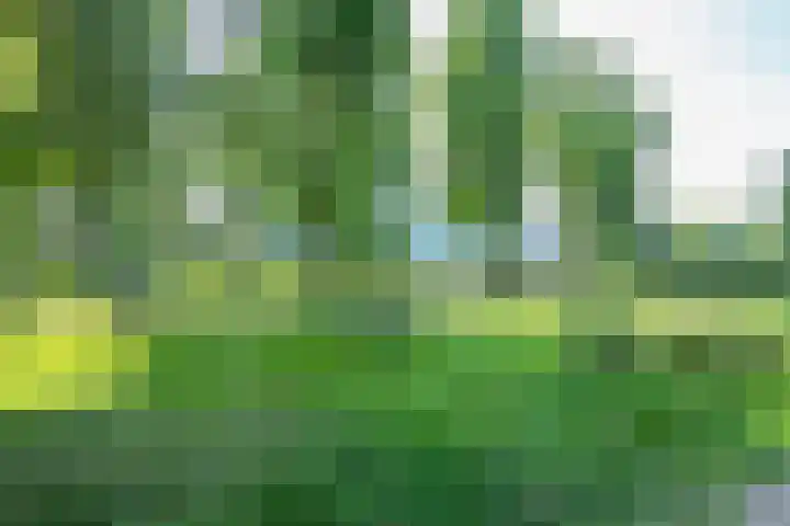 Rijnhuizenlaan 27 Utrecht thumbnail 38