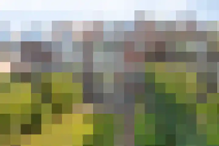 Rijnier Pauwlaan 5 Amstelveen thumbnail 26
