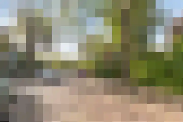 Rijnier Pauwlaan 5 Amstelveen thumbnail 33