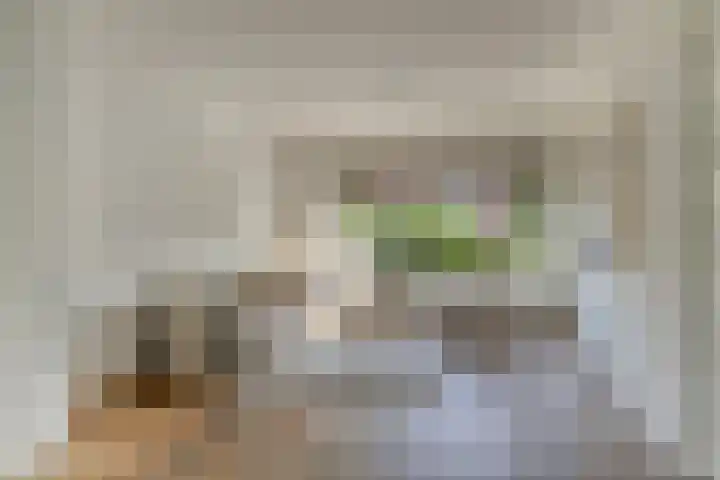 Rijnier Pauwlaan 5 Amstelveen thumbnail 5