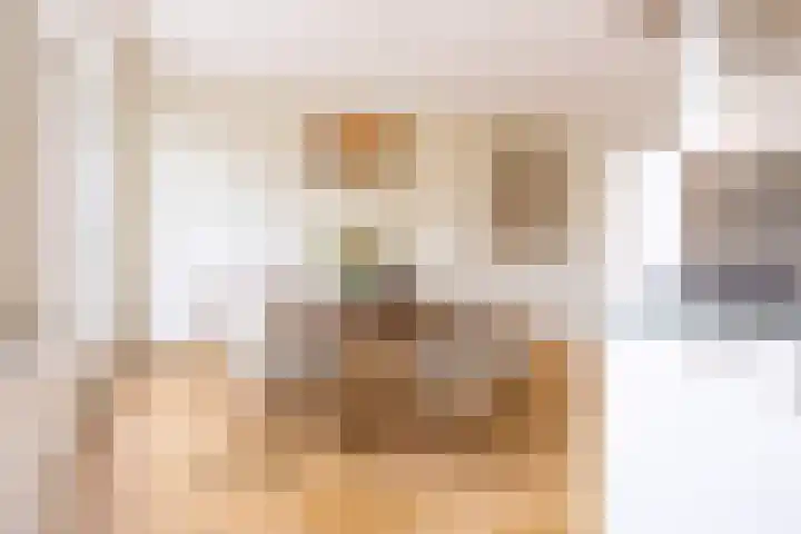Rijnkade 1 F Leiden thumbnail 15