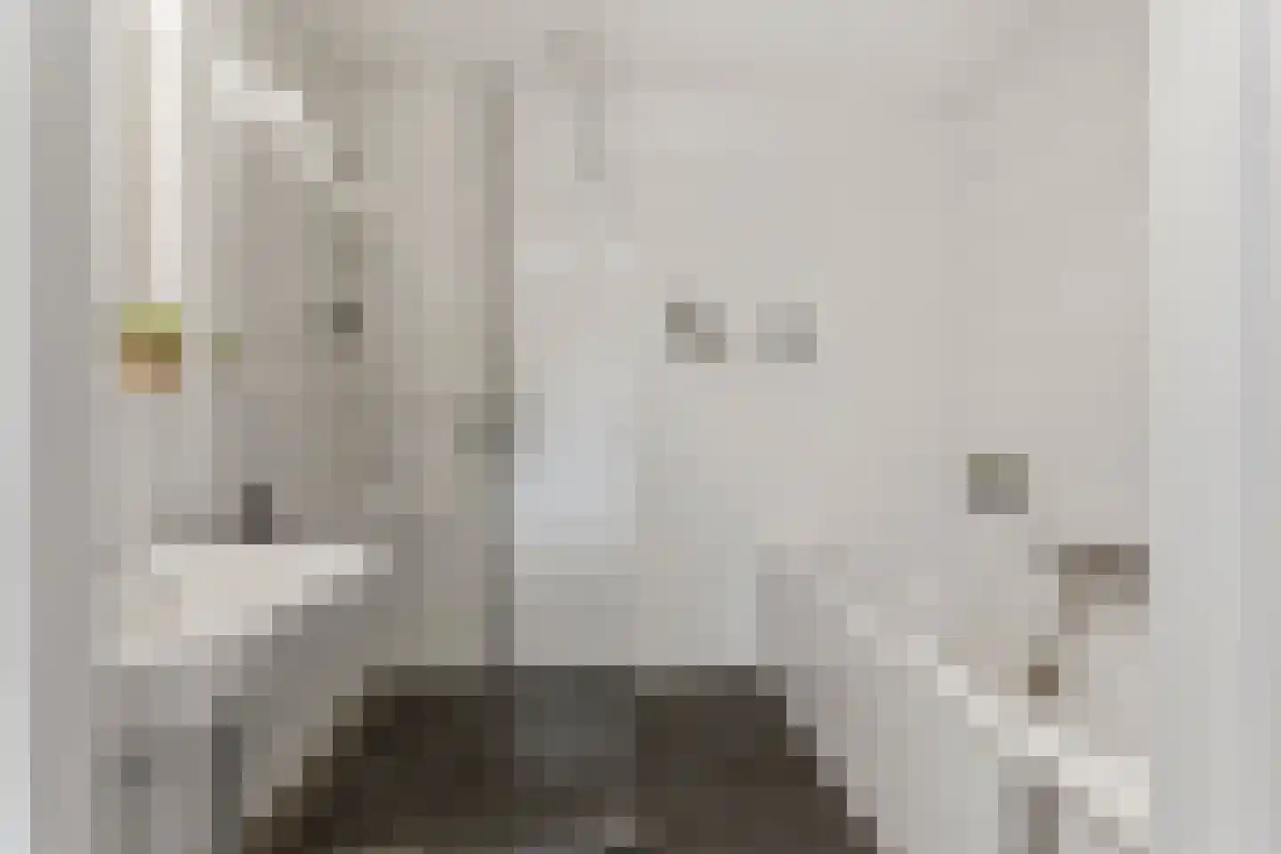 Rijnkade 28 8 Arnhem thumbnail 26