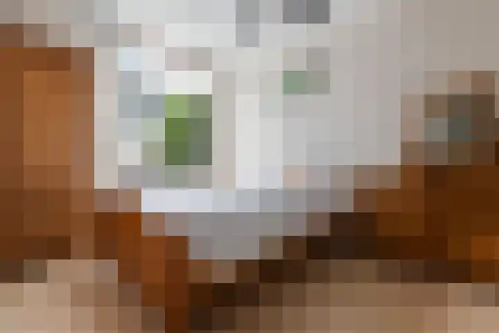 Rijnkade 3 Woerden thumbnail 12