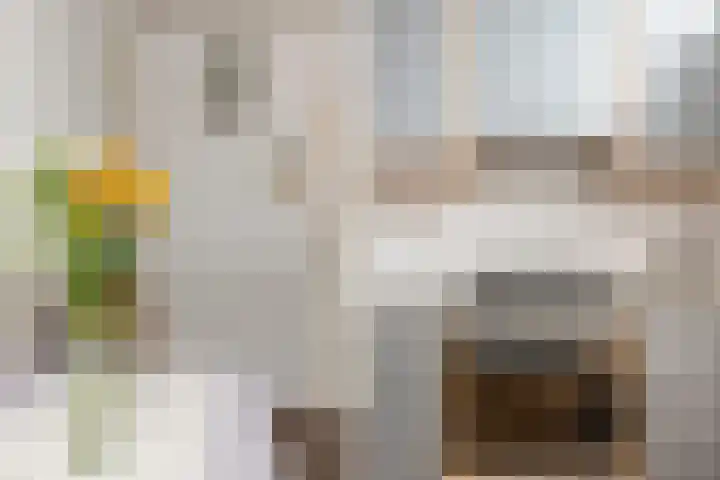 Rijnkade 3 Woerden thumbnail 14