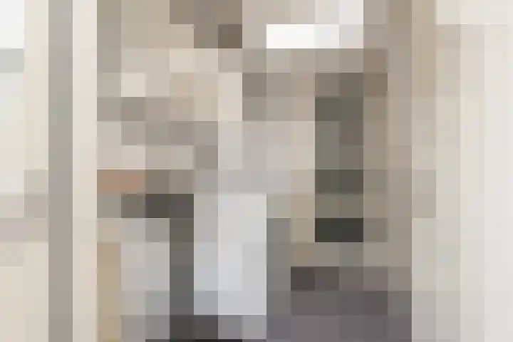 Rijnkade 3 Woerden thumbnail 18