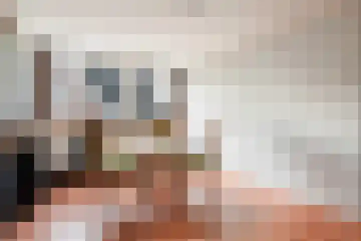 Rijnkade 3 Woerden thumbnail 29