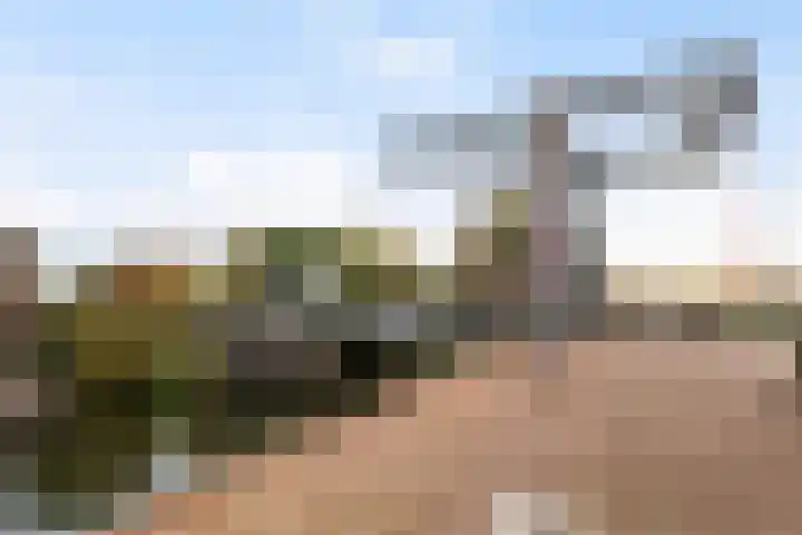 Rijnkade 3 Woerden thumbnail 39