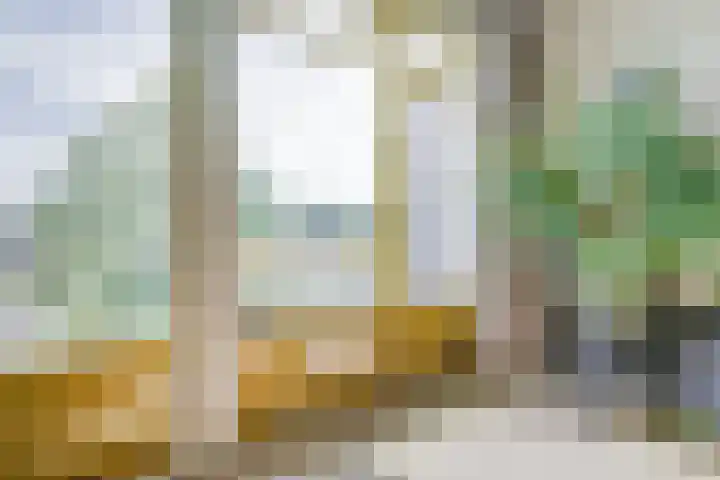 Rijnkade 47 3 Arnhem thumbnail 12