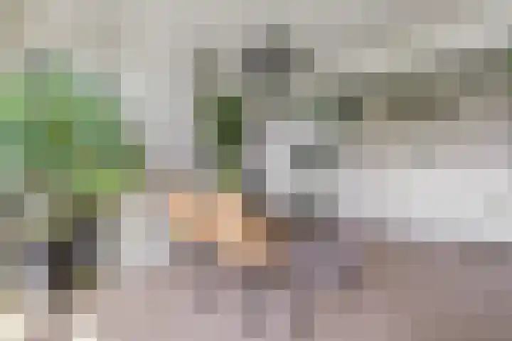 Rijnkade 47 3 Arnhem thumbnail 15