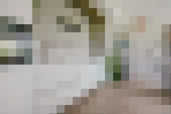 Rijnkade 47 3 Arnhem thumbnail 17