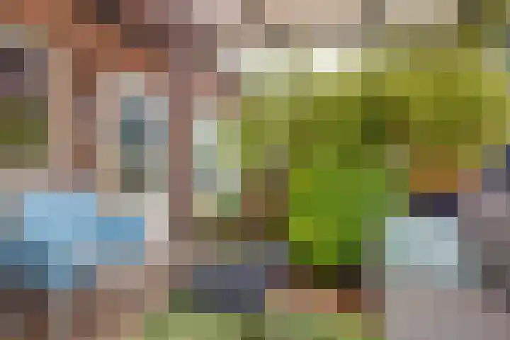 Rijnkade 47 3 Arnhem thumbnail 29
