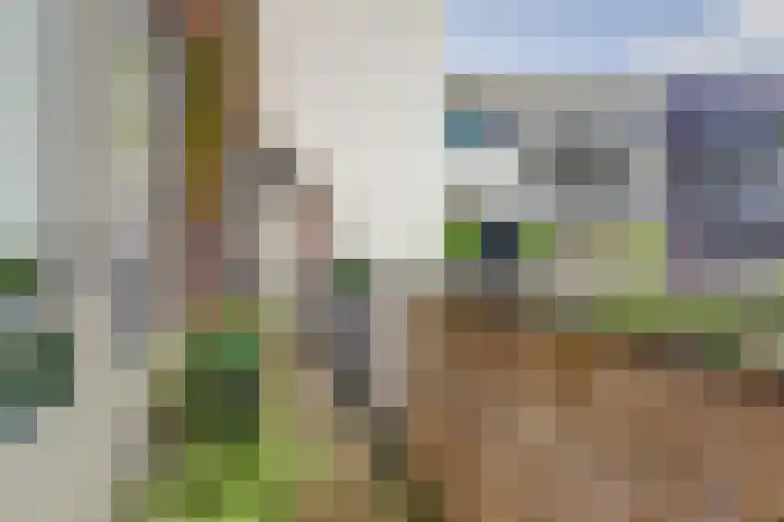 Rijnkade 47 3 Arnhem thumbnail 30