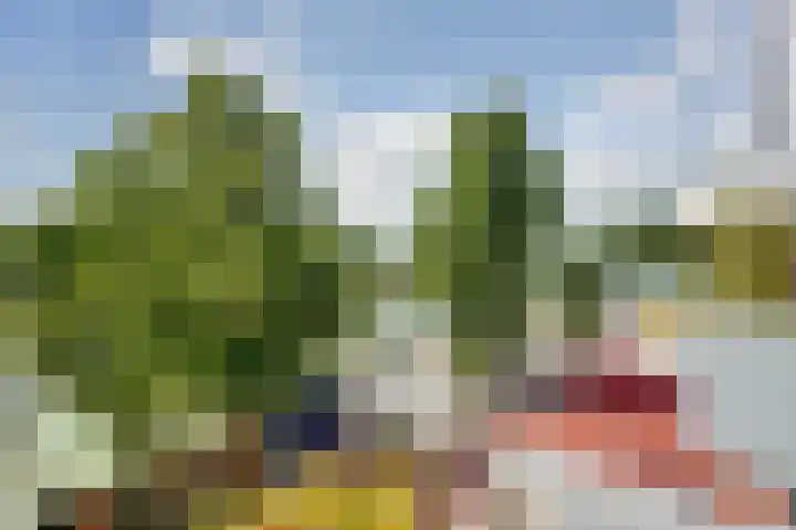 Rijnkade 47 3 Arnhem thumbnail 35