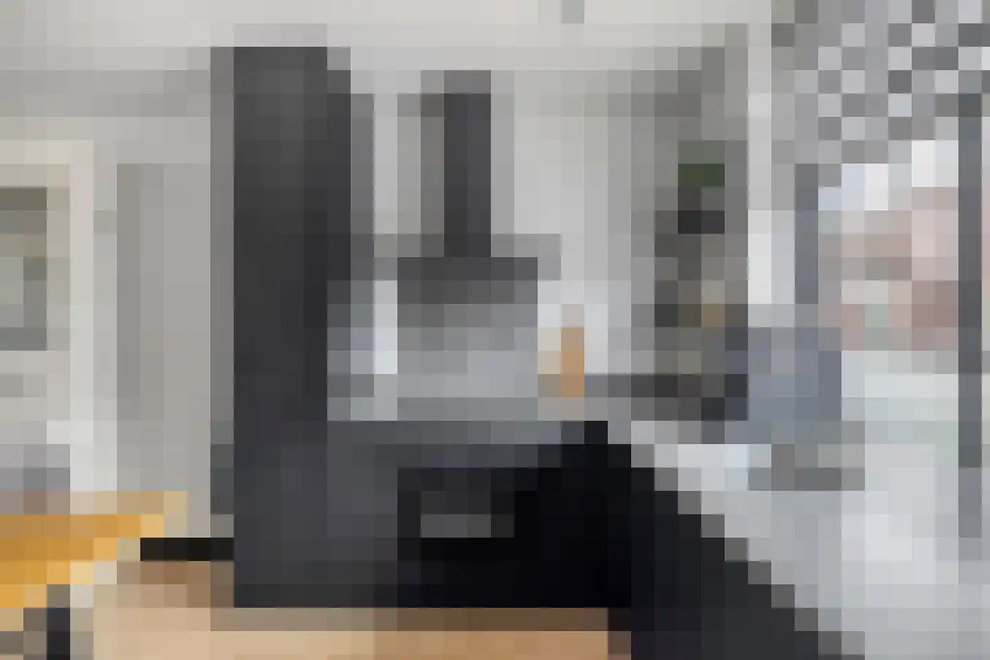 Rijnkade 47 Woerden thumbnail 17