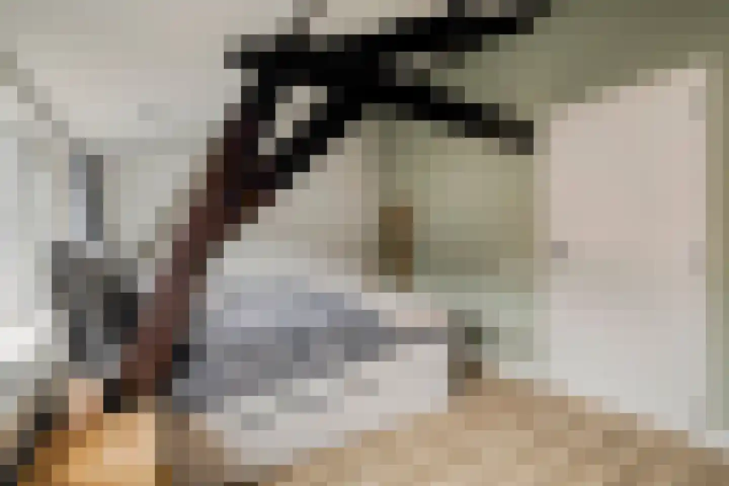 Rijnkade 47 Woerden thumbnail 20