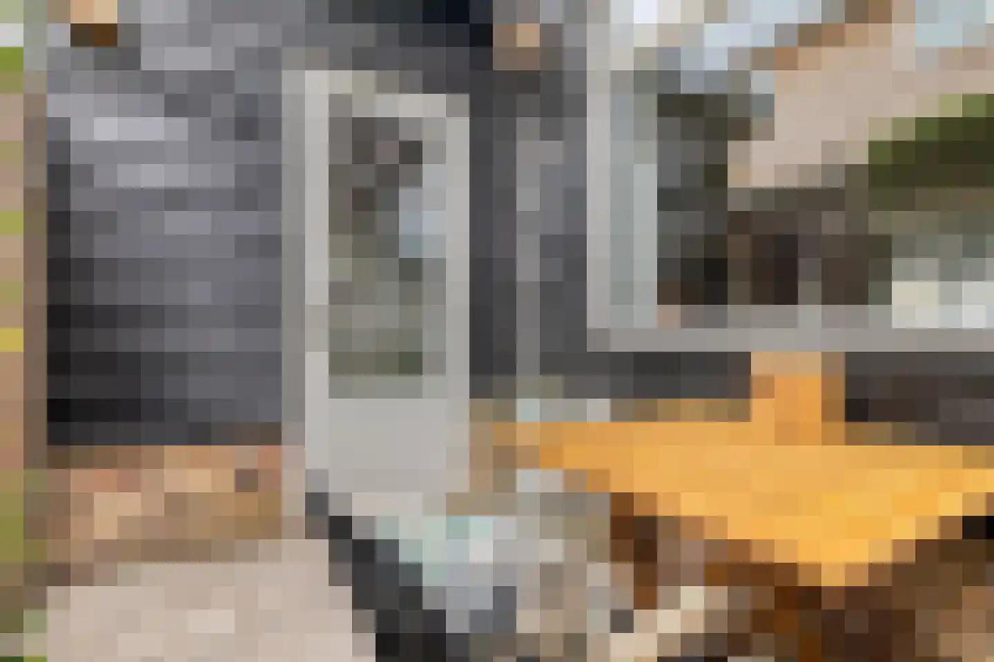 Rijnkade 47 Woerden thumbnail 23