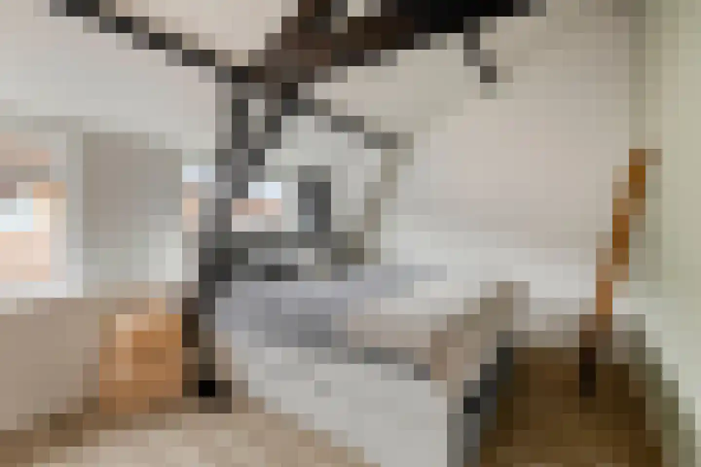 Rijnkade 47 Woerden thumbnail 5