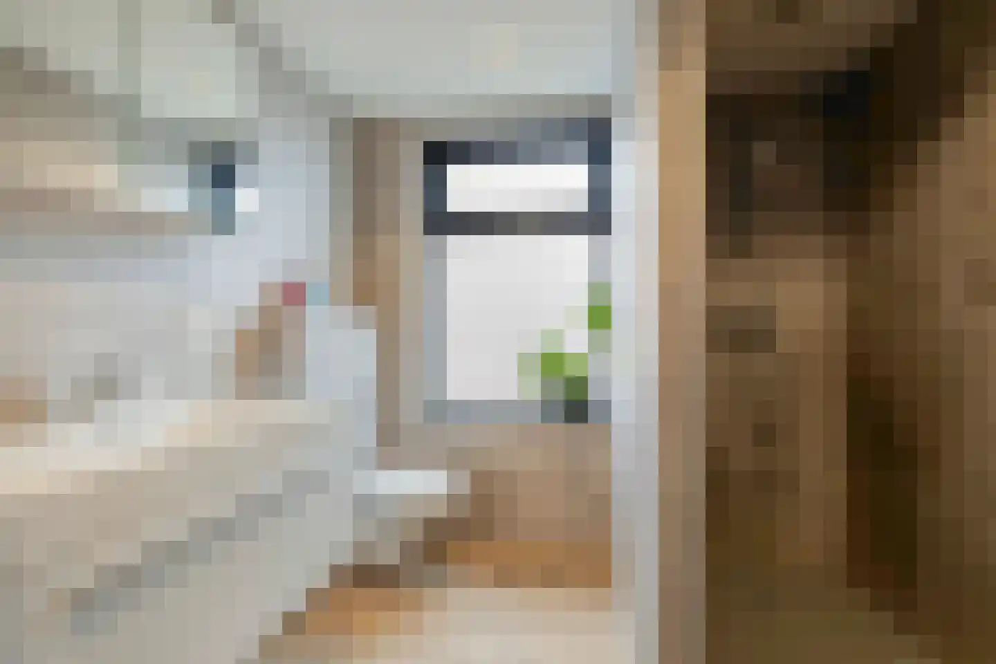 Rijnkade 47 Woerden thumbnail 6