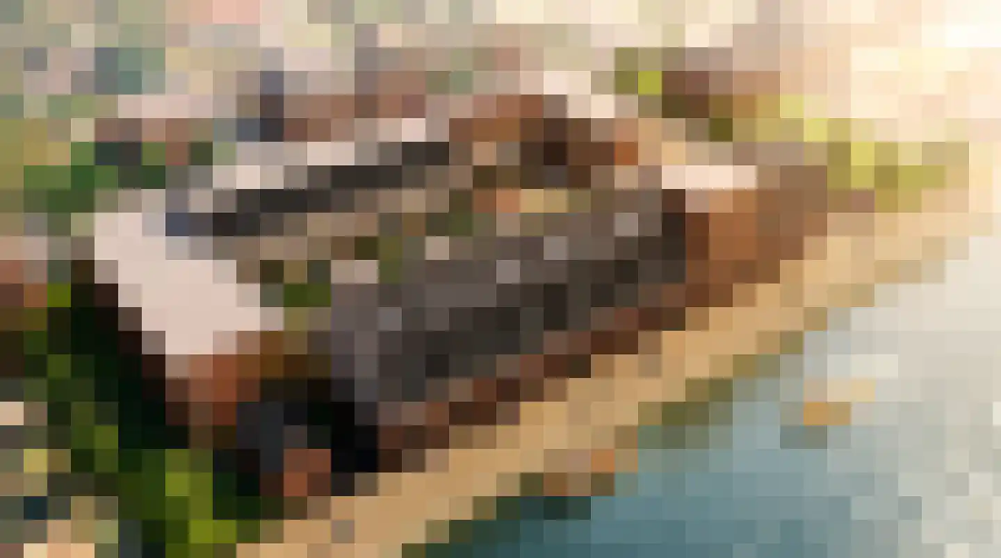 Rijnkade 48 Bodegraven thumbnail 5