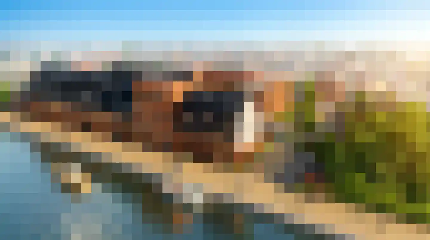 Rijnkade 50 Bodegraven thumbnail 12