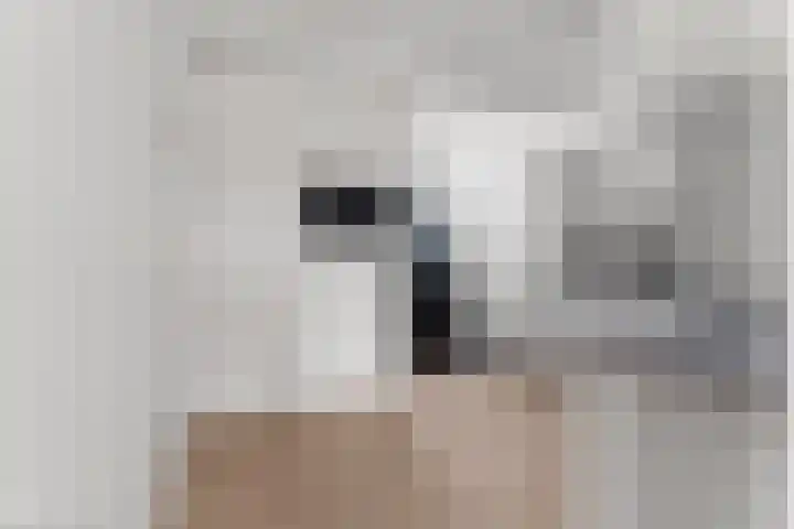 Rijnkade 60 1 Arnhem thumbnail 13