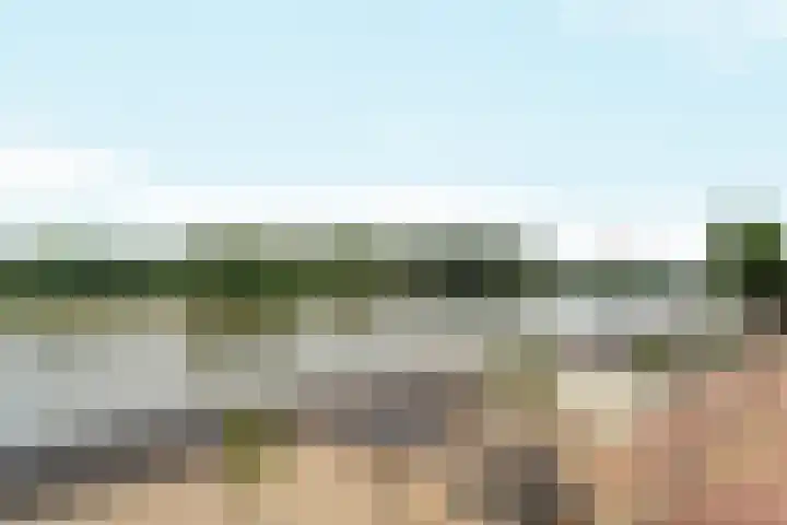 Rijnkade 60 1 Arnhem thumbnail 30