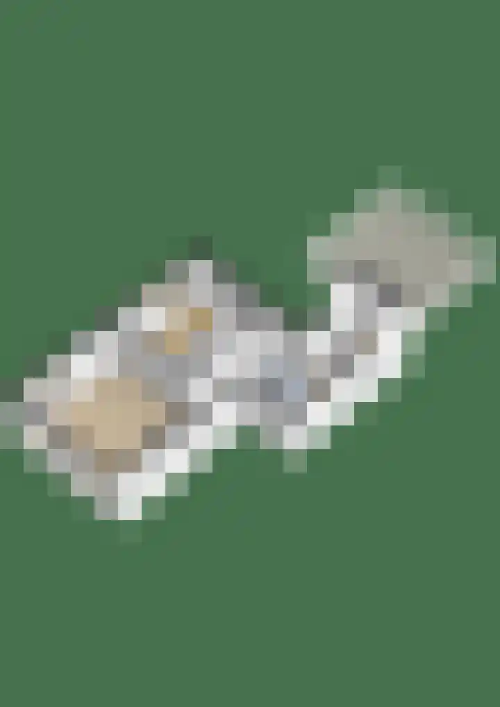 Rijnkade 60 1 Arnhem thumbnail 33