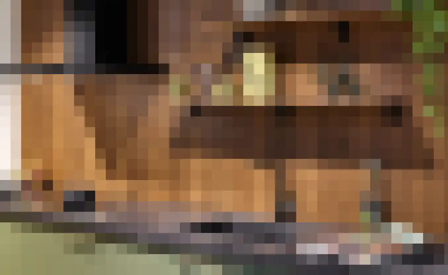 Rijnkade 70 Bodegraven thumbnail 16