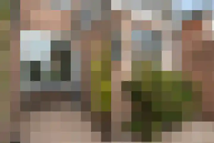 Rijnkade 77 Woerden thumbnail 27