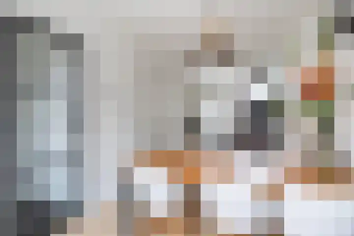 Rijnkade 77 Woerden thumbnail 6