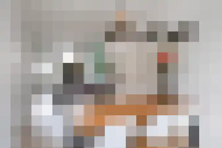 Rijnkade 77 Woerden thumbnail 7