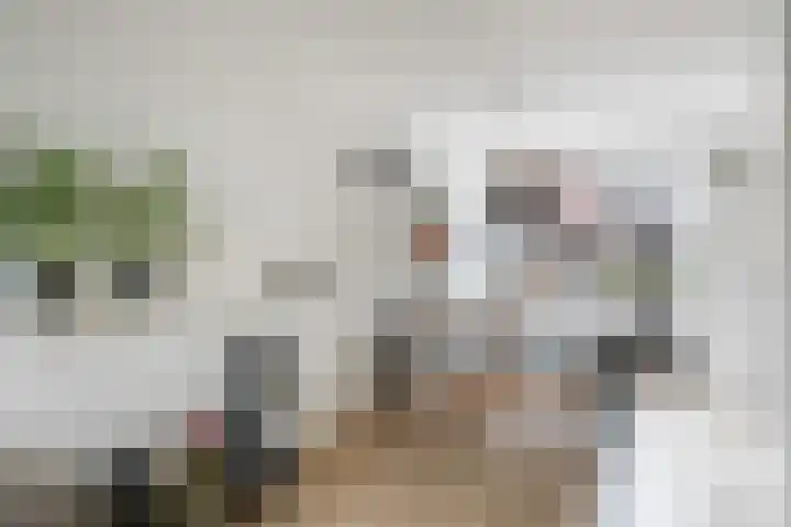 Rijnkade 77 Woerden thumbnail 8