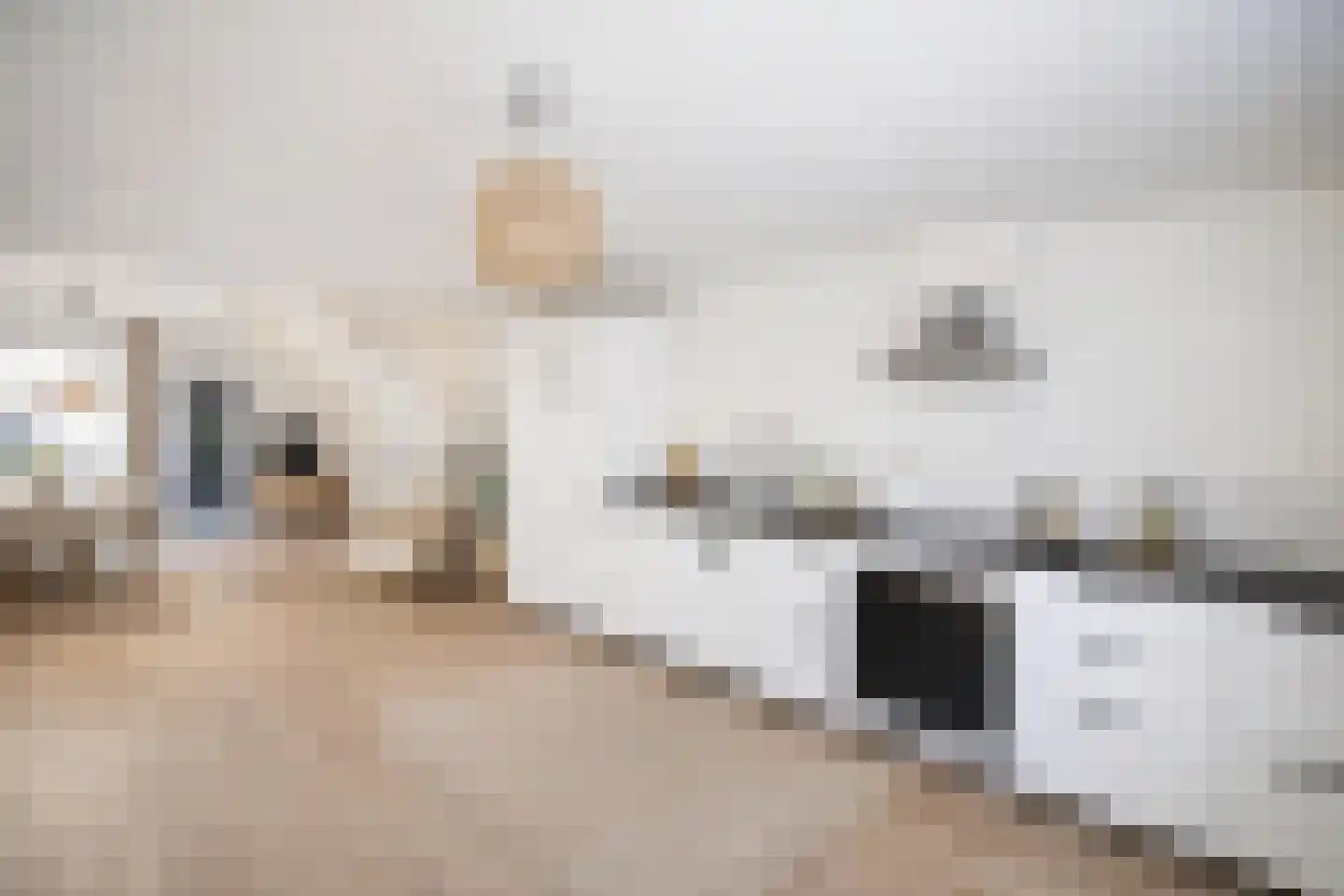 Rijnkade 86 Woerden thumbnail 14