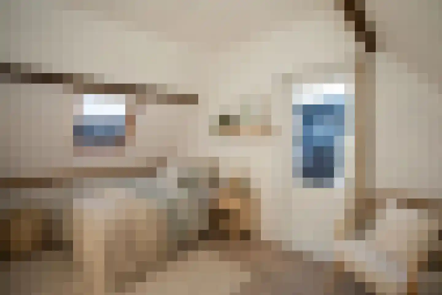 Rijnkade 86 Woerden thumbnail 32