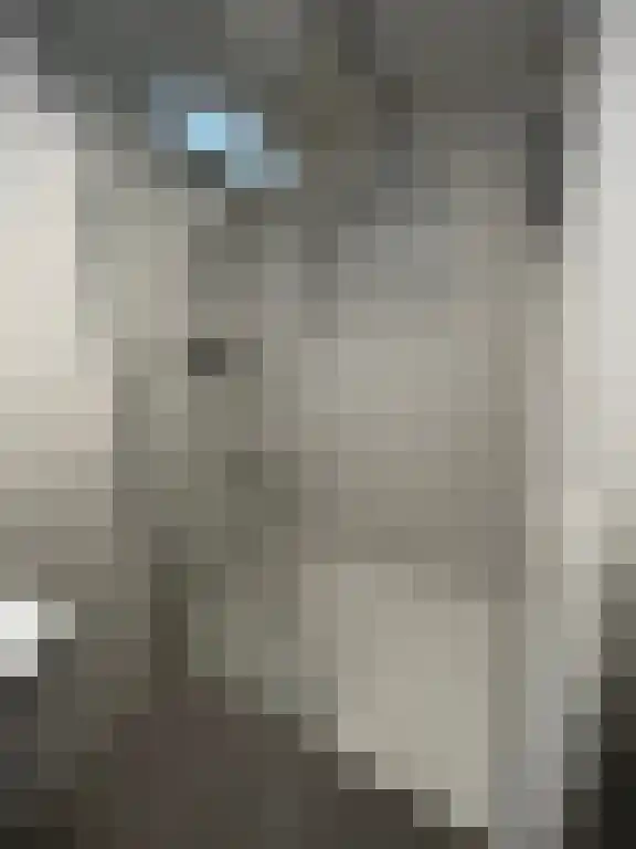 Rijnkade Arnhem thumbnail 6