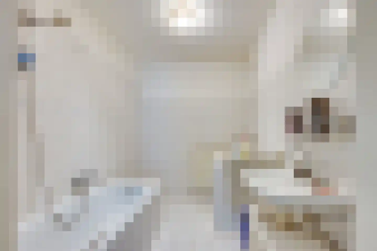 Rijnlaan 1 Helmond thumbnail 22