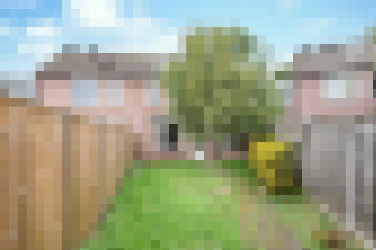 Rijnlaan 1 Helmond thumbnail 25
