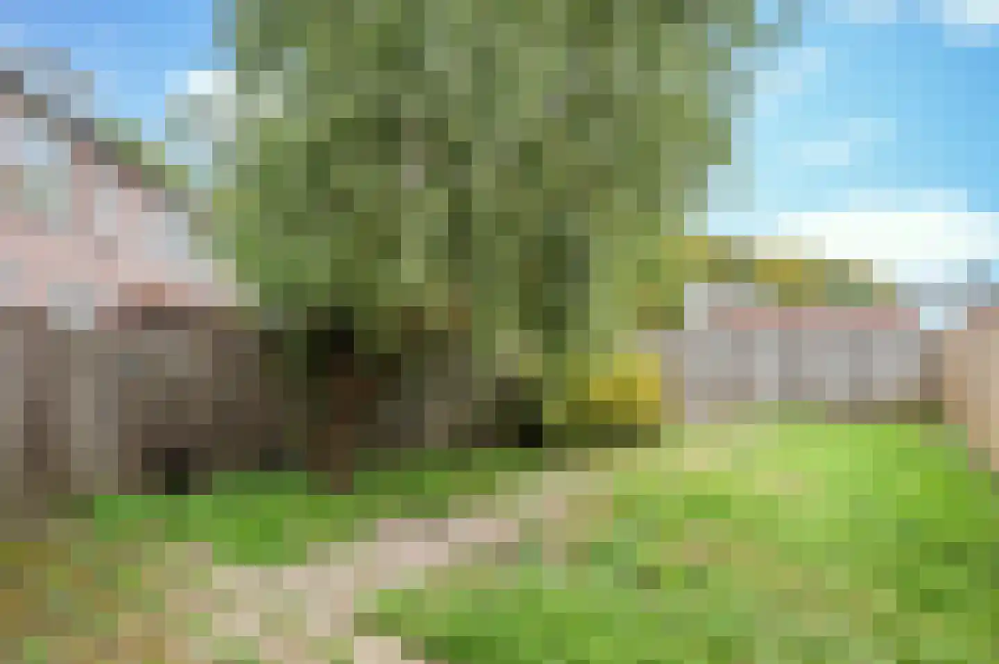 Rijnlaan 1 Helmond thumbnail 26