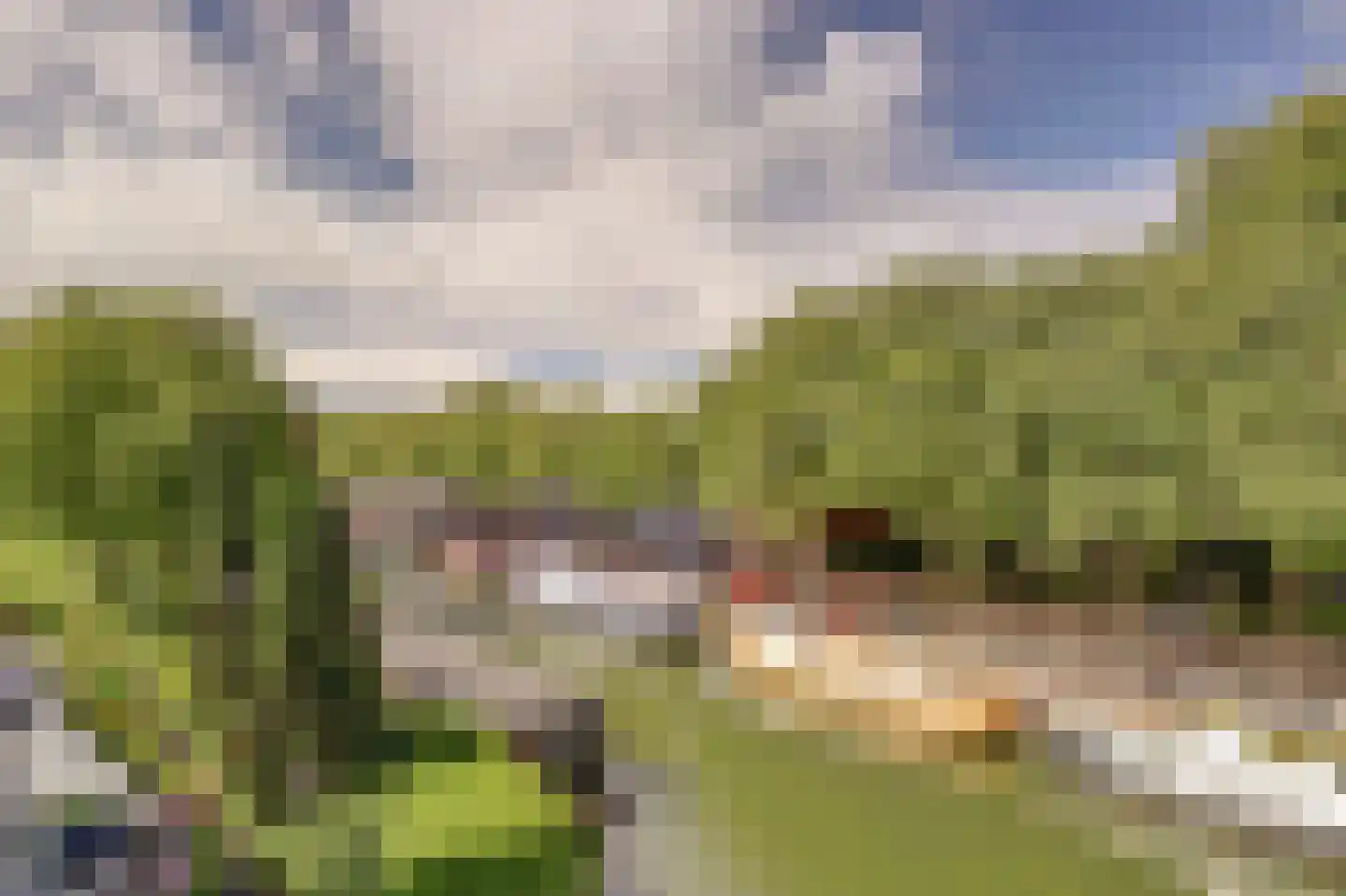 Rijnlaan 101 Nieuwegein thumbnail 5