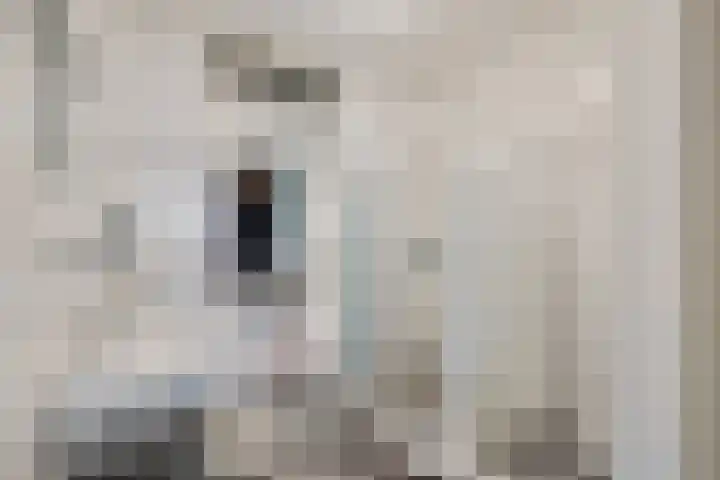 Rijnlaan 106 C Utrecht thumbnail 23