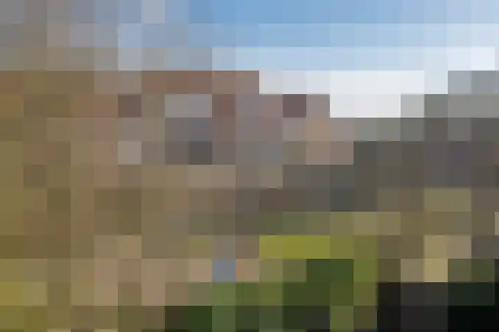 Rijnlaan 106 C Utrecht thumbnail 24