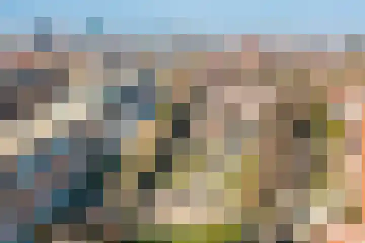 Rijnlaan 106 C Utrecht thumbnail 25