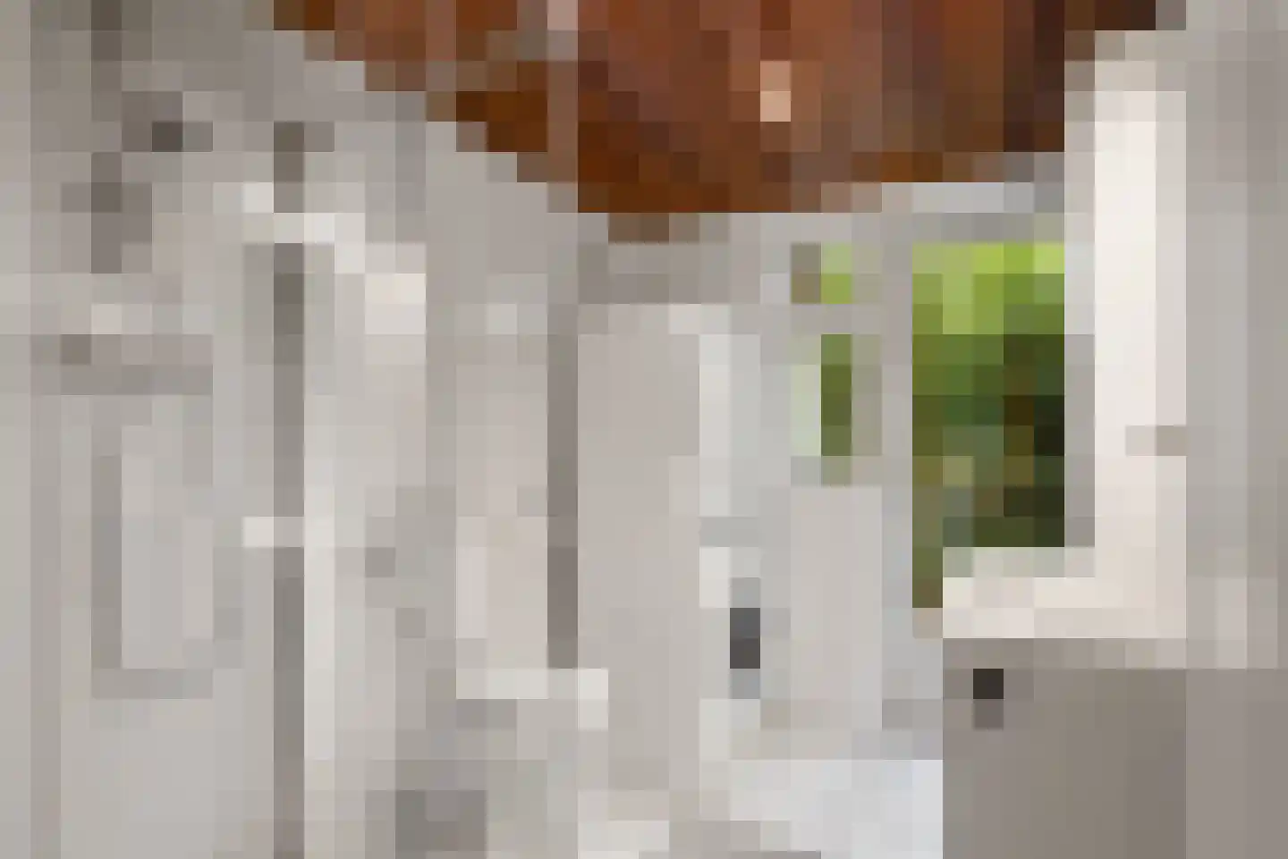 Rijnlaan 117 Heemstede thumbnail 28