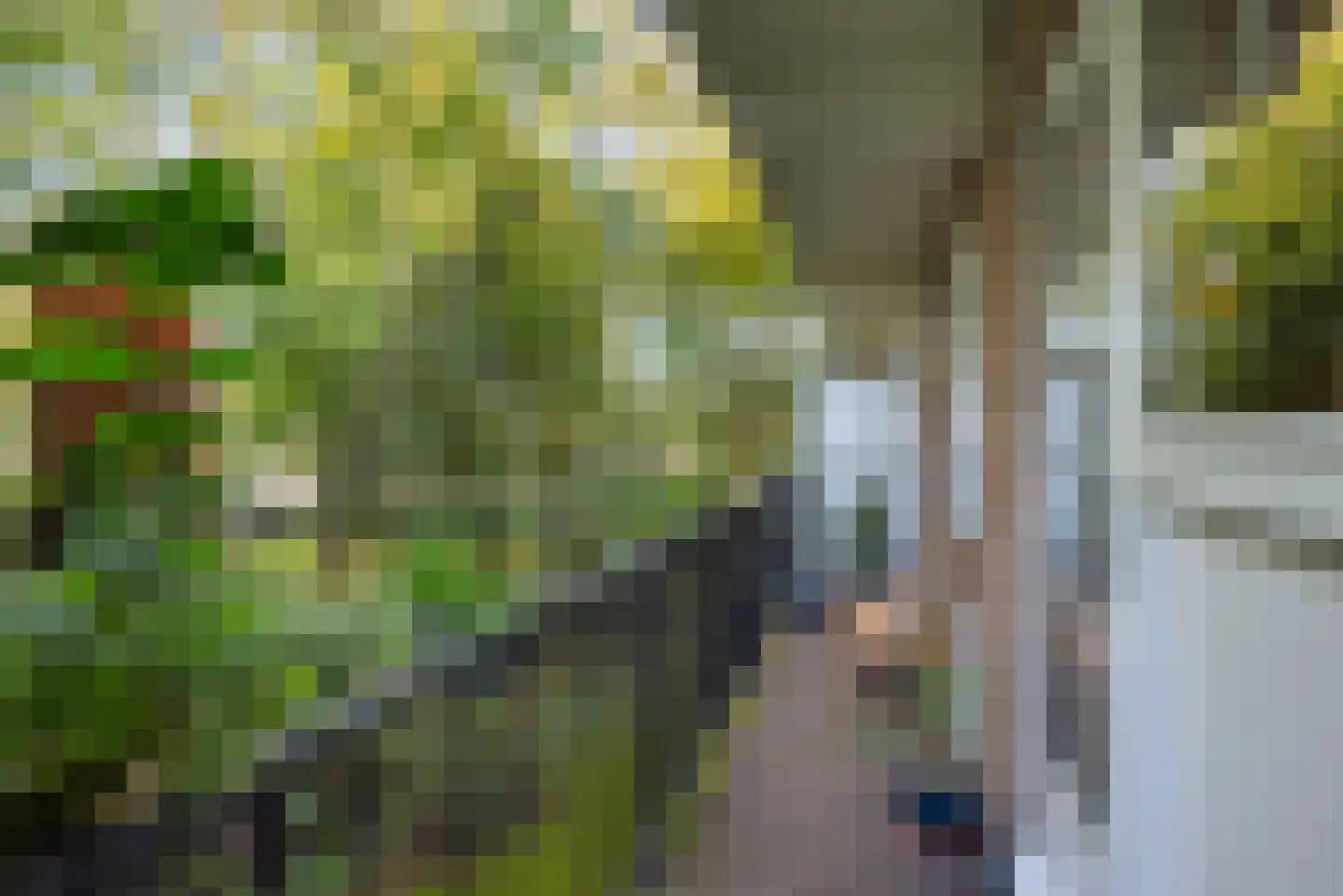 Rijnlaan 117 Heemstede thumbnail 31