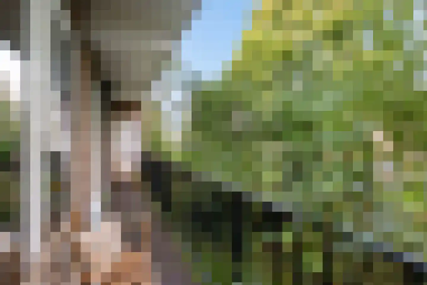 Rijnlaan 117 Heemstede thumbnail 32