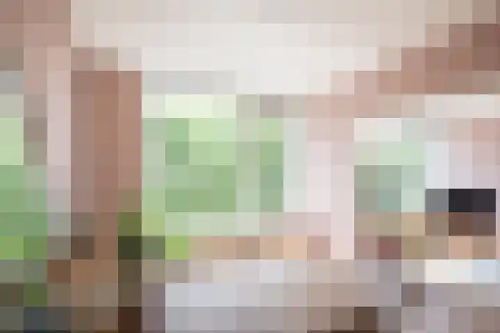 Rijnlaan 139 Heemstede thumbnail 12